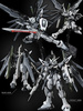 фотография RG ZGMF-X42S Destiny Gundam Deactive Mode