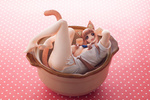 фотография Neko Nabe Eris