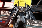 фотография RG ZGMF-X42S Destiny Gundam Deactive Mode