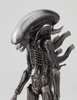 фотография Sci-Fi Revoltech No.001 Alien