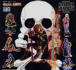 фотография HG Series Captain Harlock ~Gaiden~: Captain Harlock