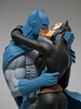 фотография Hush Batman & Cat Woman The Kiss