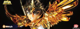 фотография Cosmos Burning Collection: G07 Sagittarius Seiya