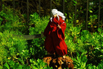 фотография InuYasha