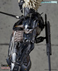 фотография Raiden