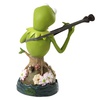 фотография Kermit Bust