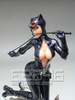 фотография ANTIHERO Catwoman