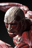 фотография U.M.C.F. Colossal Titan