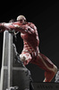 фотография U.M.C.F. Colossal Titan