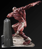 фотография U.M.C.F. Colossal Titan