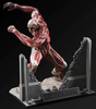 фотография U.M.C.F. Colossal Titan