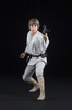 фотография ARTFX+ Star Wars Luke Skywalker