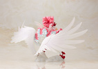 фотография ARTFX J Sakura Kinomoto