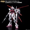 фотография RG MBF-02 Strike Rouge
