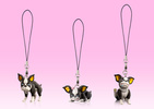 фотография Super Strap Collection: Iggy C
