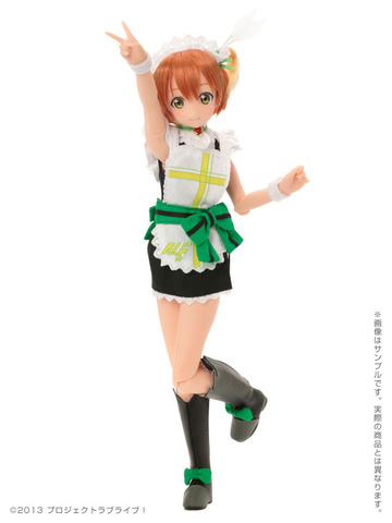 главная фотография PureNeemo Characters #88 Rin Hoshizora