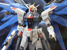 фотография RG ZGMF-X10A Freedom Gundam