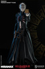 фотография Premium Format Figure Pinhead