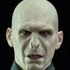 My Favorite Movie Series Lord Voldemort