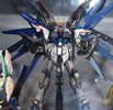 фотография RG ZGMF-X10A Freedom Gundam Extra Finish Ver.