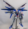 фотография MG ZGMF-X10A Freedom Gundam Clear Color Ver.