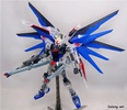 фотография MG ZGMF-X10A Freedom Gundam Clear Color Ver.