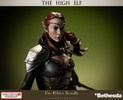 фотография The Heroes of Tamriel The High Elf