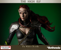 фотография The Heroes of Tamriel The High Elf