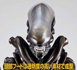 фотография Mega Sofubi Advance MSA-005 Alien