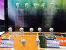 фотография Petit Chara! Series Kuroko no Basket Shiai hen 1Q: Hanamiya Makoto