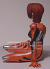фотография Ikari Yui Plugsuit   