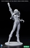 фотография DC COMICS Bishoujo Statue Black Canary