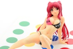 фотография Tamaki Kousaka Miwaku no Twister Game Ver. HIYAKEATO