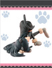 фотография Choco Black Cat Ver.