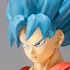 S.H.Figuarts Son Goku SSJ God SS