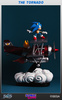 фотография Sonic The Hedgehog & Miles Tails Prower The Tornado
