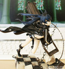 фотография Black ★ Rock Shooter Animation Ver.