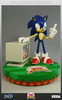 фотография Sonic the Hedgehog 20th Anniversary Edition