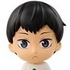 Haikyuu!! Chibi-Kyun Chara ~Chuugakusei Hen~ vol.2: Kageyama Tobio