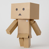 фотография Danboard Big Figure