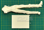 фотография Double Guns Alucard
