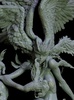 фотография Sirene