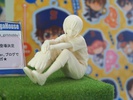 фотография Palmate Kominato Haruichi