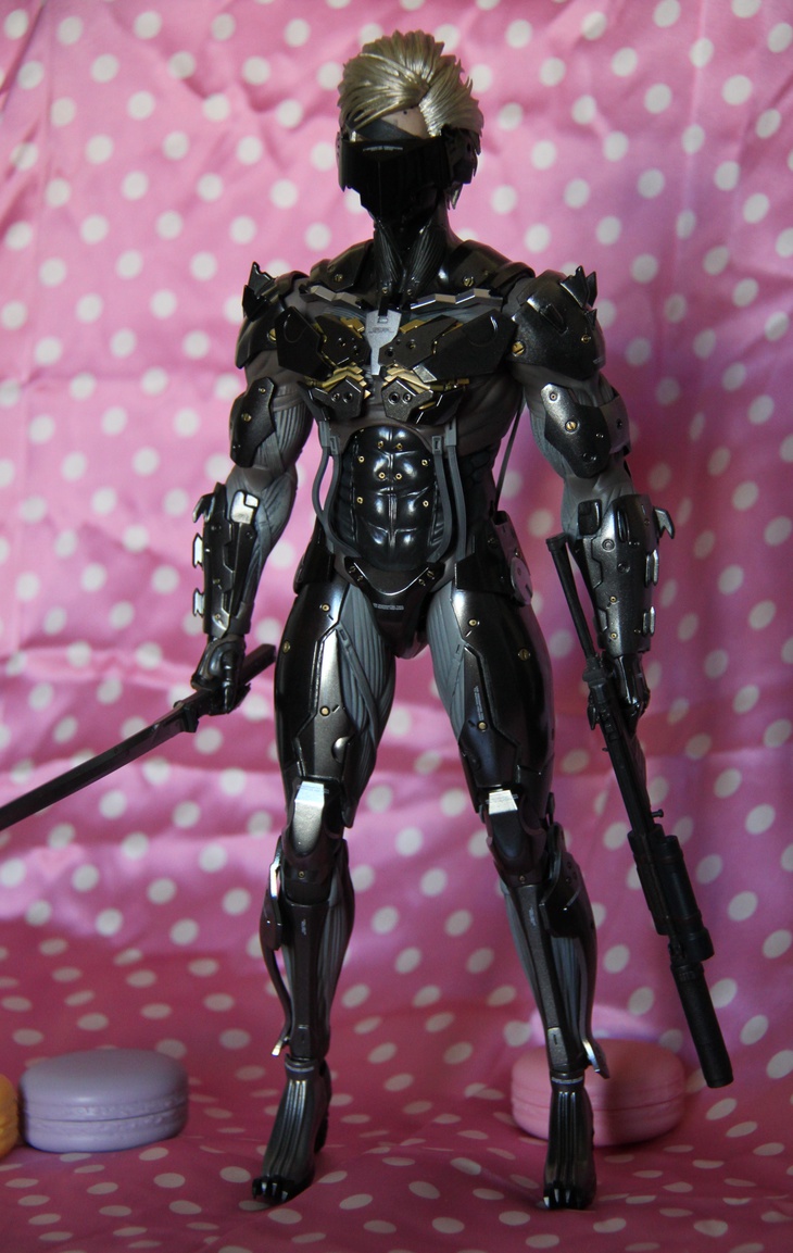 Raiden  Hot Toys - My Anime Shelf