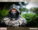 фотография Heroes of Tamriel The Breton