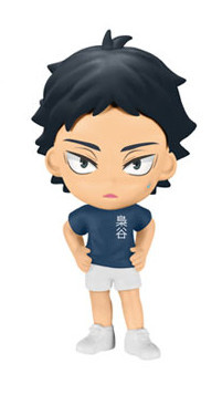 главная фотография Haikyuu!! Chibi Kyun-Chara ~Bokuto Akaashi Toujou!!~: Akaashi Keiji