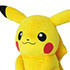 Pokemon ALL STAR COLLECTION #1 PP01 Pikachu