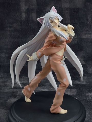 главная фотография PM Figure Black Hanekawa