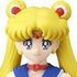 Sailor Moon Desk ni Maiorita Senshi-tachi: Sailor Moon