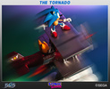 фотография Sonic The Hedgehog & Miles Tails Prower The Tornado